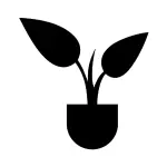garden-gloves-923293-1731394762